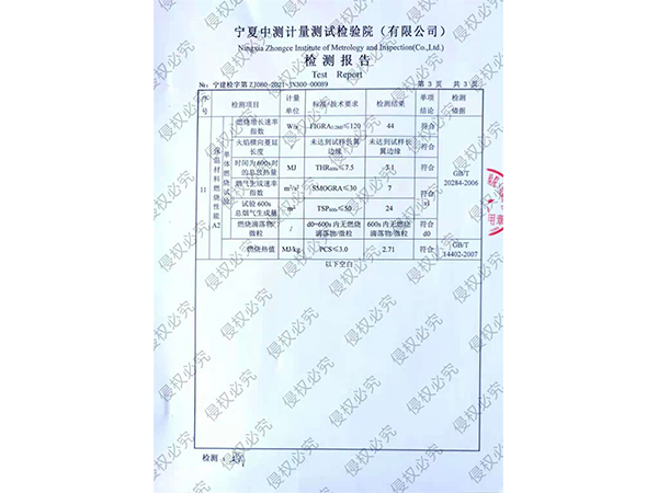 檢測報告